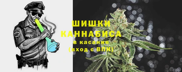 ПСИЛОЦИБИНОВЫЕ ГРИБЫ Бугульма