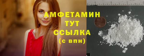ПСИЛОЦИБИНОВЫЕ ГРИБЫ Богданович