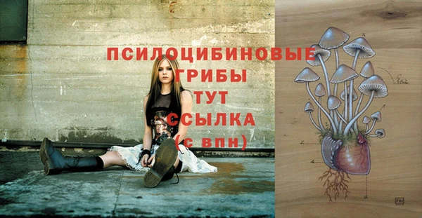 ECSTASY Беломорск