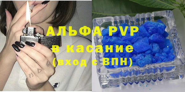 ПСИЛОЦИБИНОВЫЕ ГРИБЫ Богданович