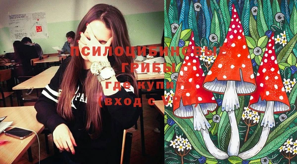 ПСИЛОЦИБИНОВЫЕ ГРИБЫ Богданович