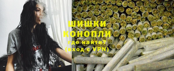 прущие грибы Белоозёрский