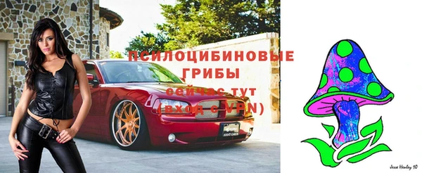 ПСИЛОЦИБИНОВЫЕ ГРИБЫ Богданович