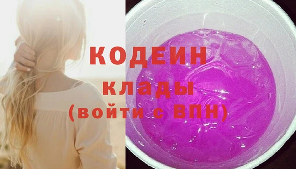 ПСИЛОЦИБИНОВЫЕ ГРИБЫ Богданович